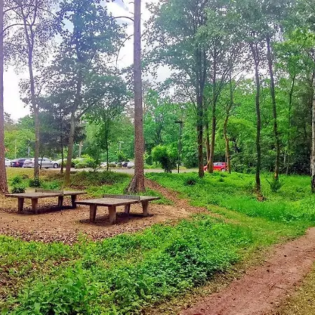 Heidehotel Soltauer Hof 4* Soltau