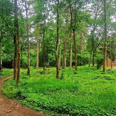 Heidehotel Soltauer Hof Hotel Soltau