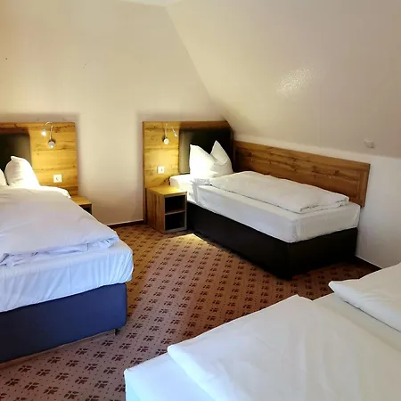 Heidehotel Soltauer Hof מלון 4*