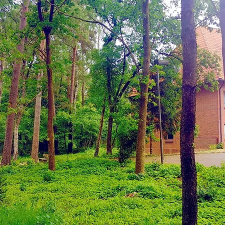 Heidehotel Soltauer Hof מלון 4*