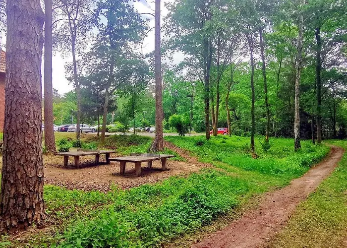 Heidehotel Soltauer Hof 4* Soltau