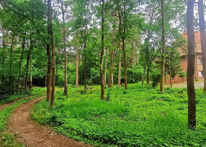 Heidehotel Soltauer Hof Hotel Soltau