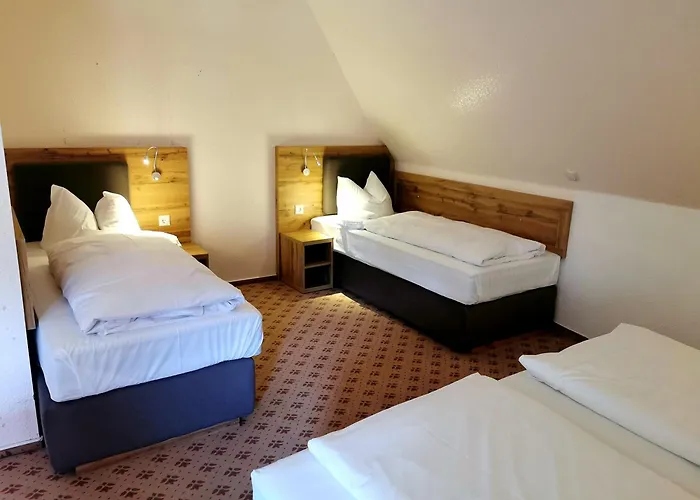 Heidehotel Soltauer Hof Hotel 4*