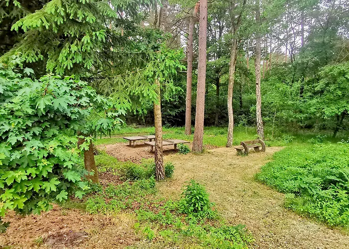 Heidehotel Soltauer Hof