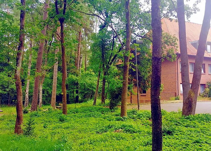 Heidehotel Soltauer Hof Hotel 4*